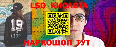 гидра Заводоуковск