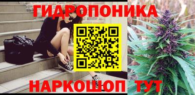 гидра Заводоуковск