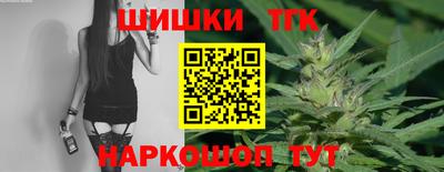 гидра Заводоуковск