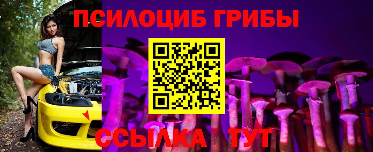 цены наркотик  Псилоцибиновые грибы ЛСД  Вход с VPN  Кыштым 